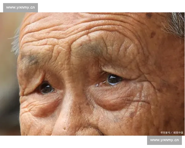 再见爱人中那些被忽略的情感真相与人性温度深度剖析