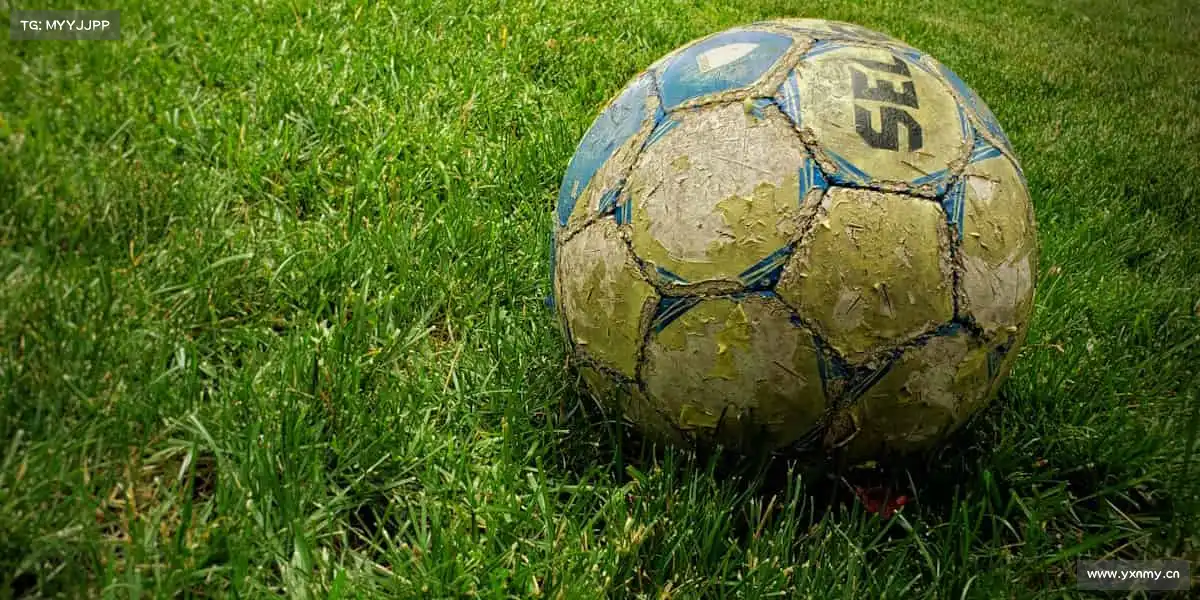 行业领先的理由